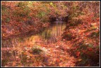 ..colori d'autunno.. ..colori d'autunno..