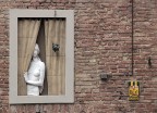 dama alla finestra dama alla finestra