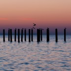 L'alba di un nuovo giorno L'alba di un nuovo giorno