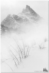 White Storm White Storm