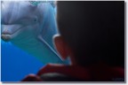 free willy free willy