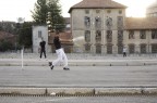 cricket cricket