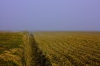 la traiettoria la traiettoria