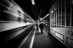 >ii< Train de vie >ii< Train de vie