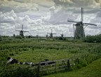 Holland Holland