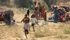 India 7 India 7