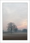 Al salir Della Nebbia... Al salir Della Nebbia...