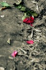 La fine di qualcosa La fine di qualcosa
