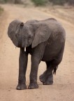 Tanzania 10 Tanzania 10