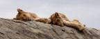 Tanzania 13 Tanzania 13