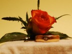 Amore e.... Amore e....