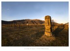 Il custode dei vigneti Il custode dei vigneti