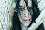 ice ice