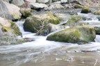 Il movimento dell'acqua Il movimento dell'acqua
