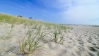 Cape cod #1 Cape cod #1