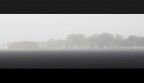 Sale la nebbia Sale la nebbia