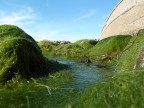 colline marine colline marine