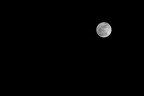 Moon Moon