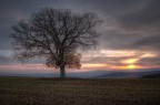 tramonto tramonto