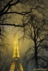 paris_3 paris_3