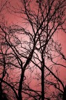 la luce rossa la luce rossa