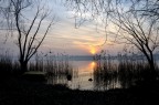 Lago di Oggiono Lago di Oggiono