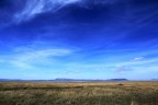 Serengeti Serengeti