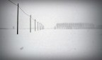 Minimal, quasi Jap - 01 Minimal, quasi Jap - 01