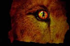 Teh Lion King Teh Lion King