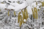 Inverno Inverno