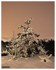 Neve by night Neve by night