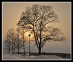 ...lampione solare innevato... ...lampione solare innevato...