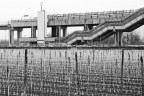 Linea Ferroviaria