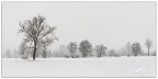 Winter on the plains II Winter on the plains II