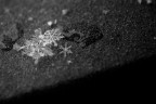 Snowflakes Snowflakes