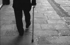 il mio compagno il mio compagno