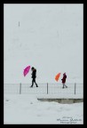Colors in the snow Colors in the snow
