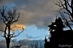ciel ciel