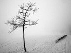Inverno Inverno