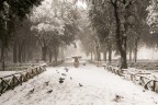 Neve a Frascati Neve a Frascati