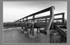 Pontile Pontile
