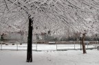 La neve, oltre che un disagio ed a volte un grosso problema, per molti, in questi giorni in Italia � una spettacolare trasformazione della percezione della realt� per cui gli scenari comuni della nostra vita quotidiana ci appaiono diversi; nelle fronde di questi alberi io ci ho visto un sipario che copriva la scena che ho ripreso.
Sono graditissimi i vostri pareri e consigli
Exposure Time = 1/100"
F Number = F11
Exposure Program = Aperture priority
ISO Speed Ratings = 200
Focal Length = 31mm