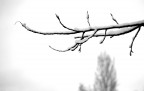 Semplice Inverno Semplice Inverno