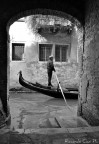 Venezia Venezia