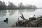 Dal mio portfolio sul paesaggio fluviale/marino Veneto