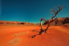 Monument Valley...