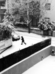Prima Neve Prima Neve