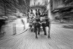 magic horses magic horses