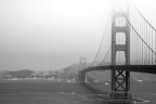 Frisco Frisco