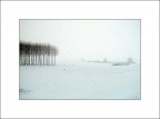 La neve "nella Bassa" La neve "nella Bassa"